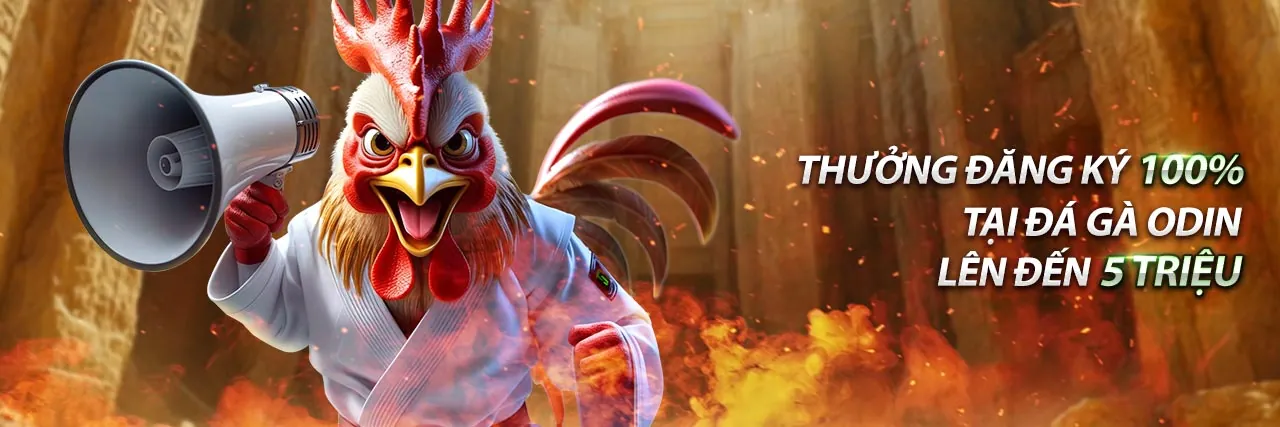 Hình ảnh minh họa chính sách cookie và bảo mật dữ liệu của zt9398 đăng nhập